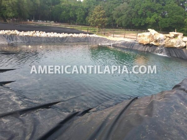 20x24  Pond Liner HDRPE 30/40 Year, Best Seller 2023!! - Image 4