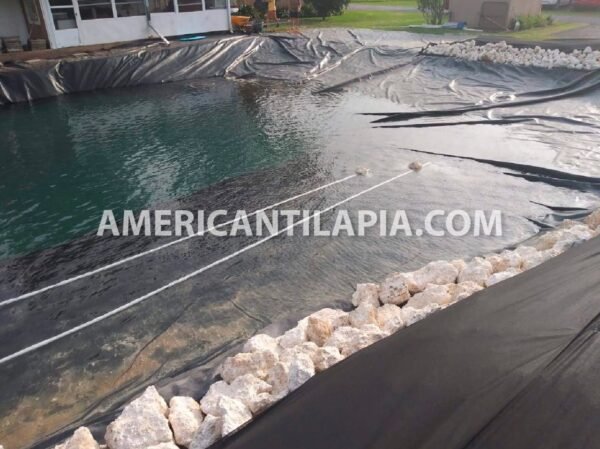 20x24  Pond Liner HDRPE 30/40 Year, Best Seller 2023!! - Image 14