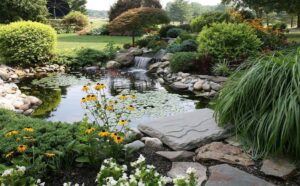 Ways to Consider Water in Your Permaculture Garden Design
