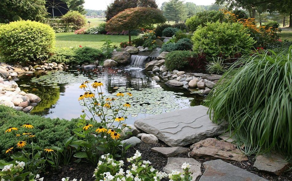 Ways to Consider Water in Your Permaculture Garden Design